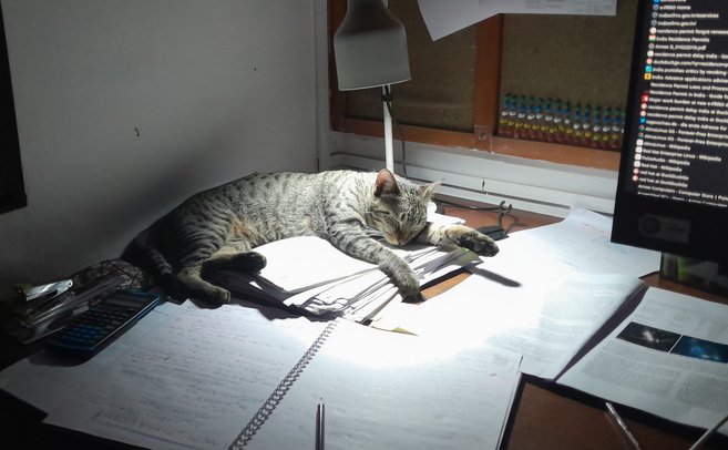 Thumbnail: harde_workjpg.jpg