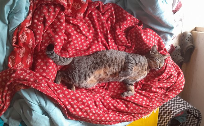 Thumbnail: voxel_dreaming.jpg