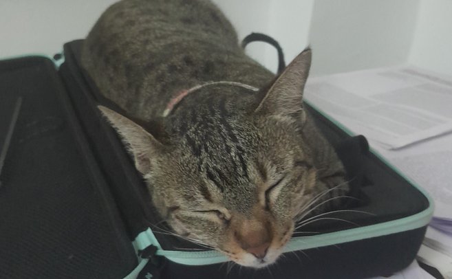 Thumbnail: voxel_office.jpg