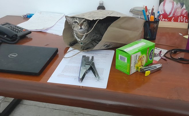 Thumbnail: voxel_office_delivery.jpg