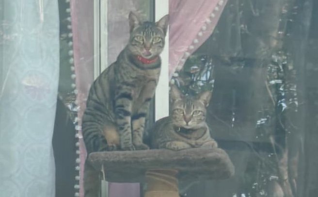 Thumbnail: voxel_x_balcony.jpg