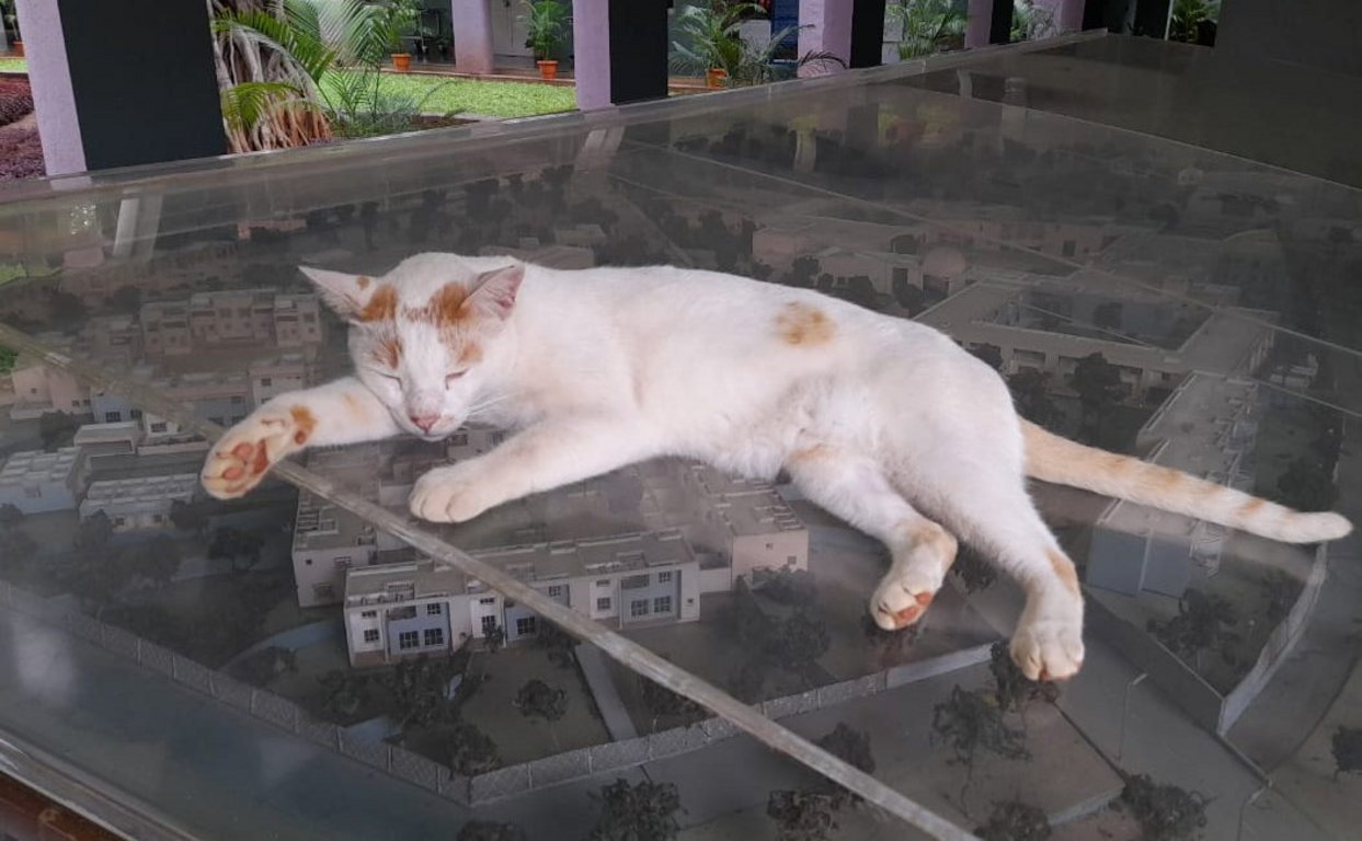 Image: ruler_of_iucaa.jpg