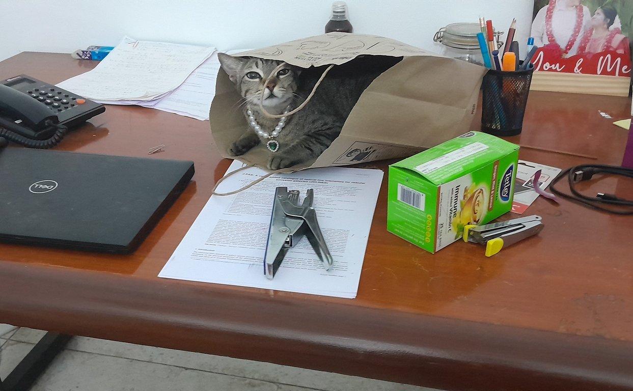 Image: voxel_office_delivery.jpg